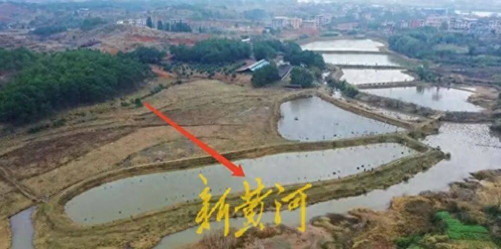 65歲農(nóng)婦荒塘養(yǎng)魚被判“非法占用農(nóng)地”：羈押10月后免刑，仍喊“我沒罪”:宏鑫機械設備有限公司
