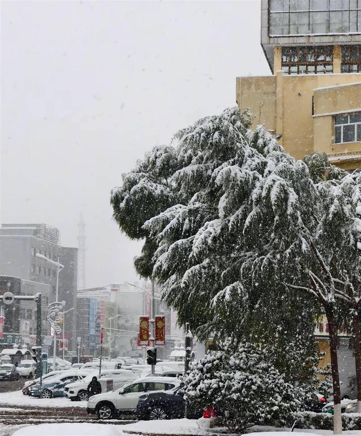 北方多地迎來(lái)第一場(chǎng)雪<strong></p>
<p>宏鑫機(jī)械設(shè)備有限公司
</strong>，黑龍江局地已出現(xiàn)暴雪，積雪深5厘米，氣象專家稱今年初雪略提前:宏鑫機(jī)械設(shè)備有限公司
