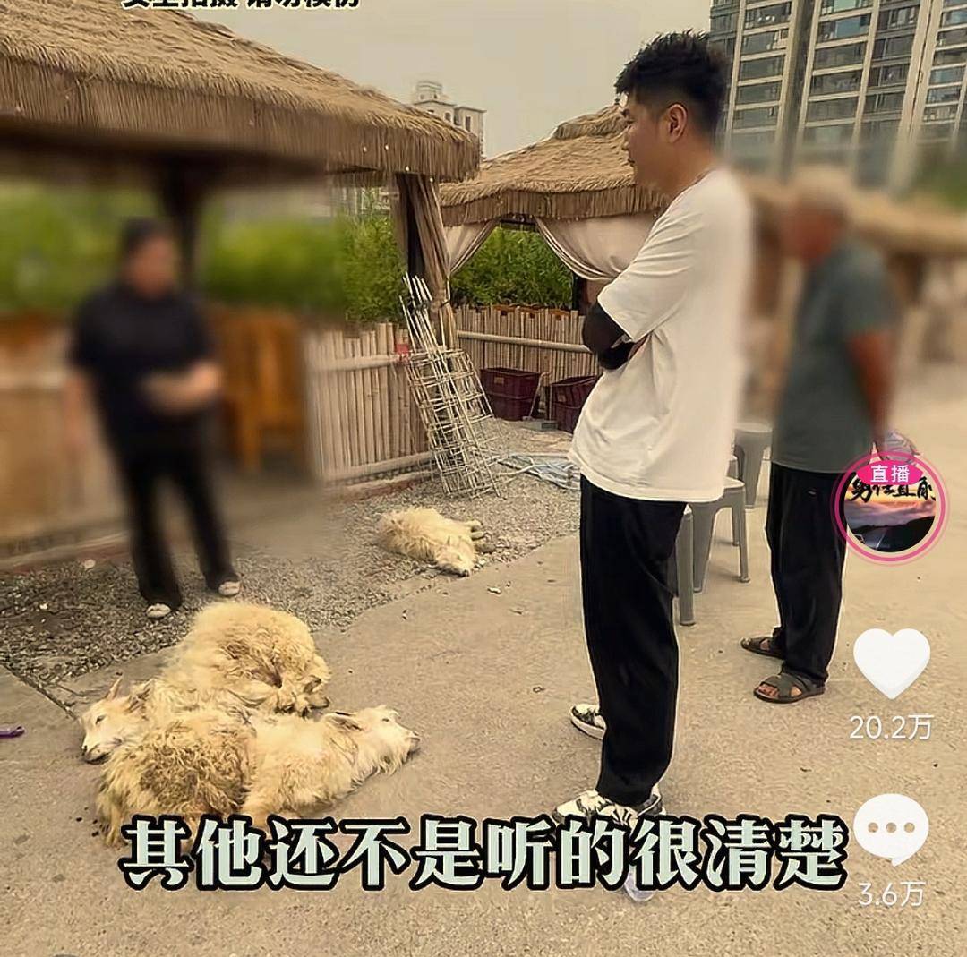 60斤活羊?qū)嶋H只有30多斤<strong></p>
<p>宏鑫機(jī)械設(shè)備有限公司
</strong>！博主打假重慶兩家烤全羊店獲“退一賠三”:宏鑫機(jī)械設(shè)備有限公司
