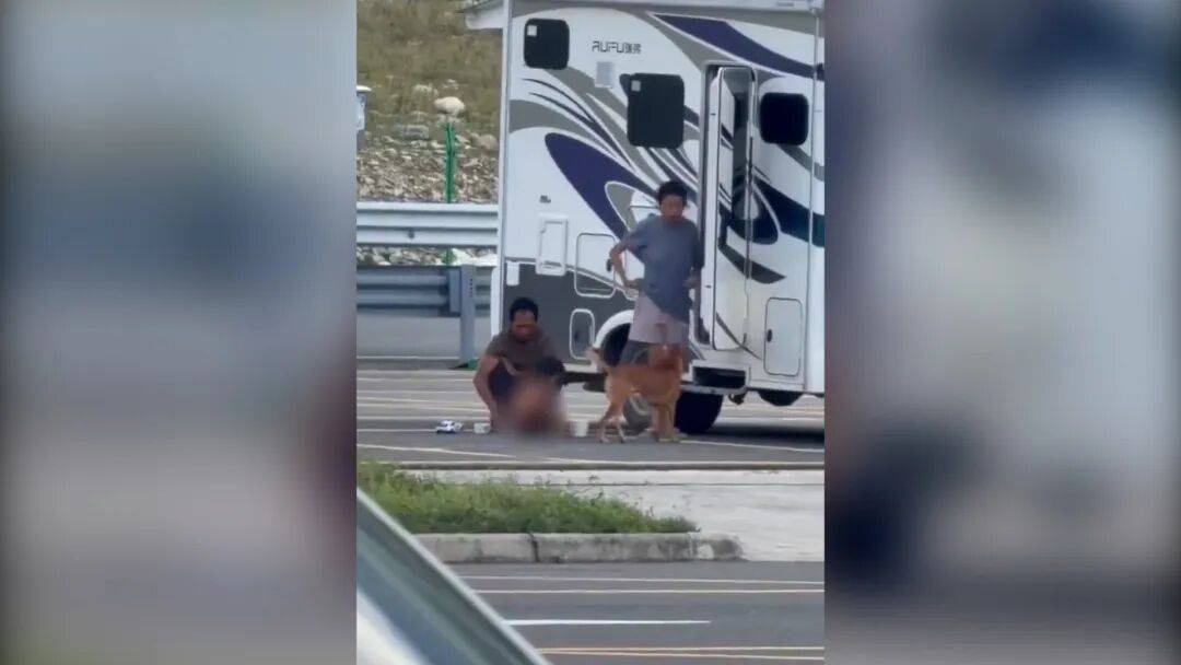 村民:“野人小孩”父親上山“靈修”后就不正常<strong></p>
<p>宏鑫機(jī)械設(shè)備有限公司
</strong>了:宏鑫機(jī)械設(shè)備有限公司