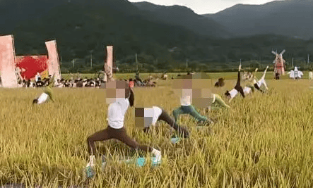 媒體：稻田開鐮儀式，表演哪門子瑜伽？:宏鑫機(jī)械設(shè)備有限公司
