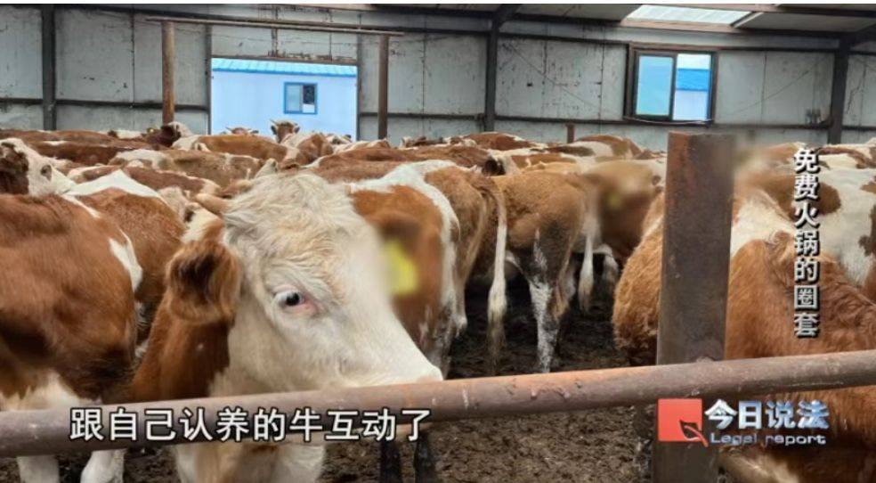 600多名老人被騙4200萬！詐騙公司以免費吃火鍋為誘餌向老人推薦投資項目<strong></p>
<p>宏鑫機械設備有限公司
</strong>，稱年化收益率達50%！王某被判七年六個月:宏鑫機械設備有限公司
