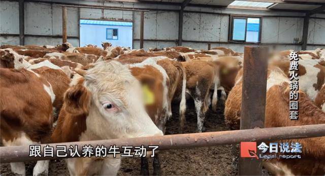 600多名大爺大媽吃了免費(fèi)火鍋后<strong></p>
<p>宏鑫機(jī)械設(shè)備有限公司
</strong>，被騙約4200萬元:宏鑫機(jī)械設(shè)備有限公司
